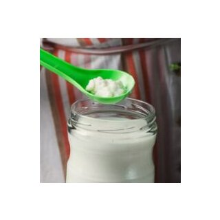 BIO Milchkefir Körner 1g (dehydriert)