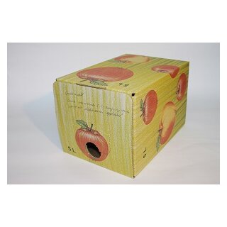Bag in Box Karton 5 Liter bunt Apfeldekor
